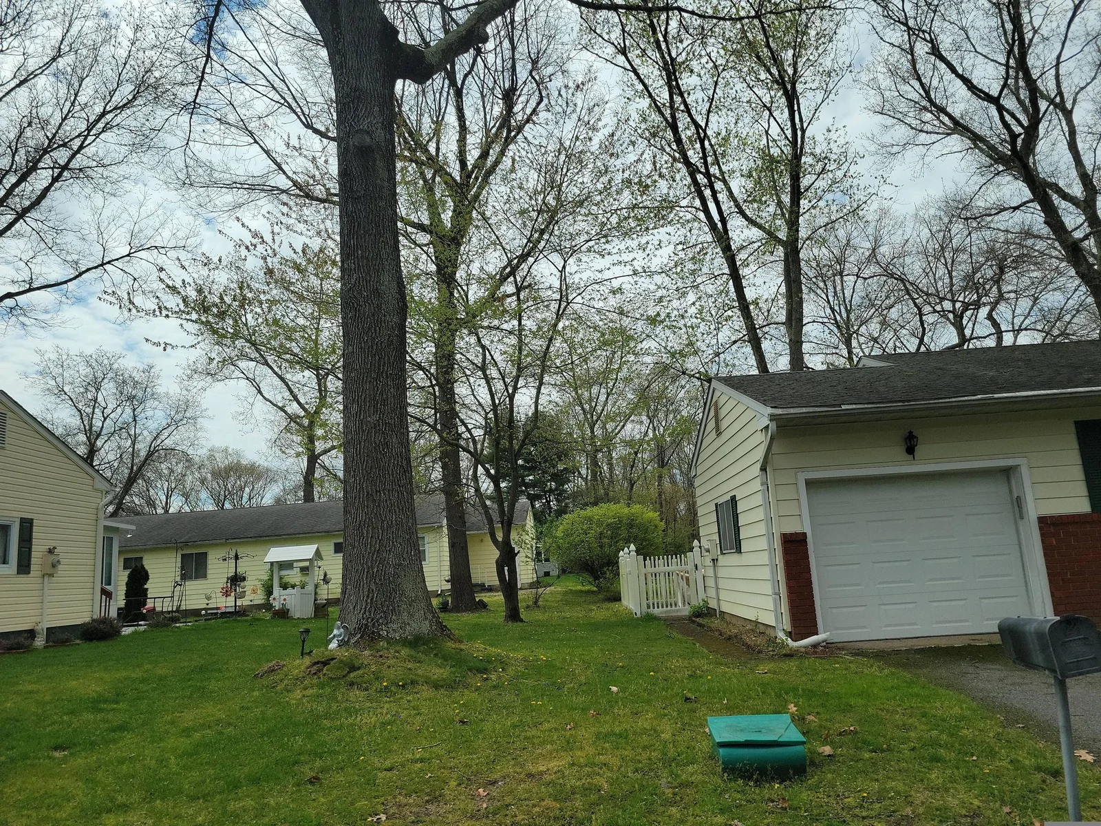 Small single-story home with a garage beside a big tree trunk