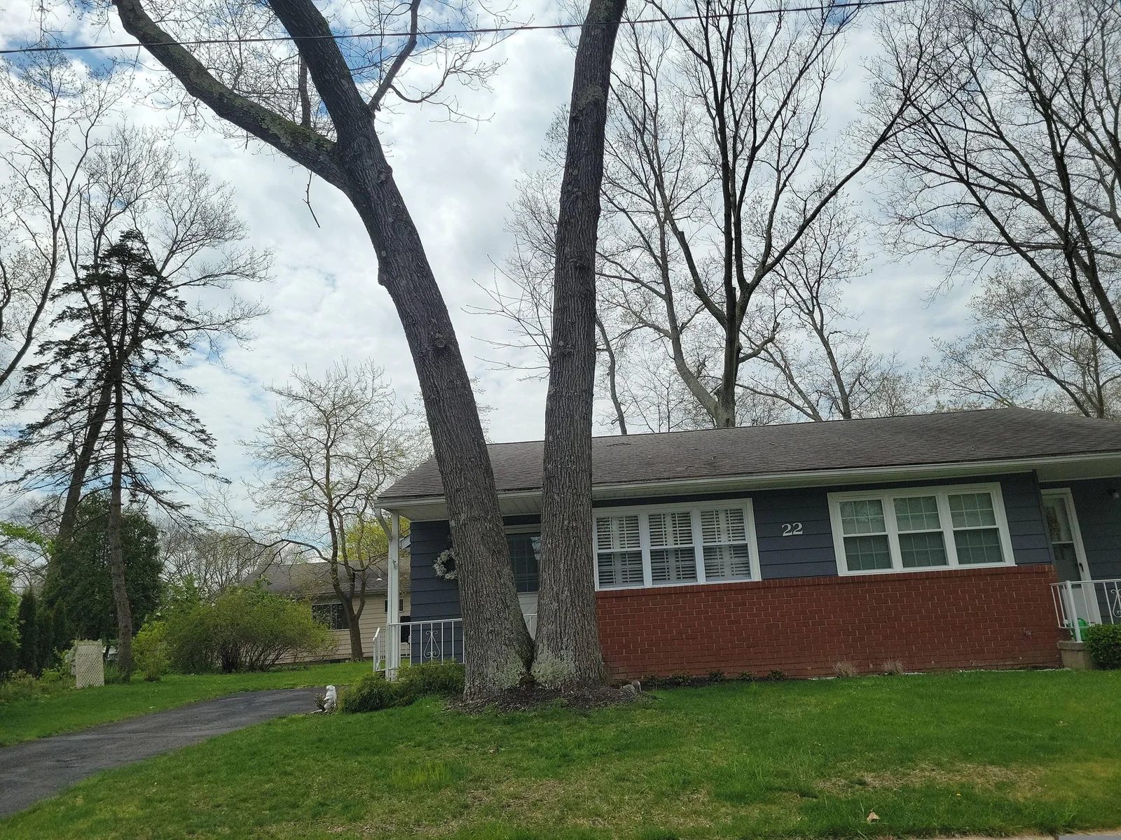 Blue and brick single-story home behind a lawn and tall trees