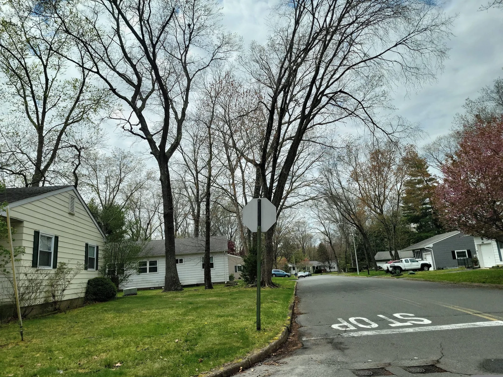 Street corner with a stop sign and small homes under tall trees