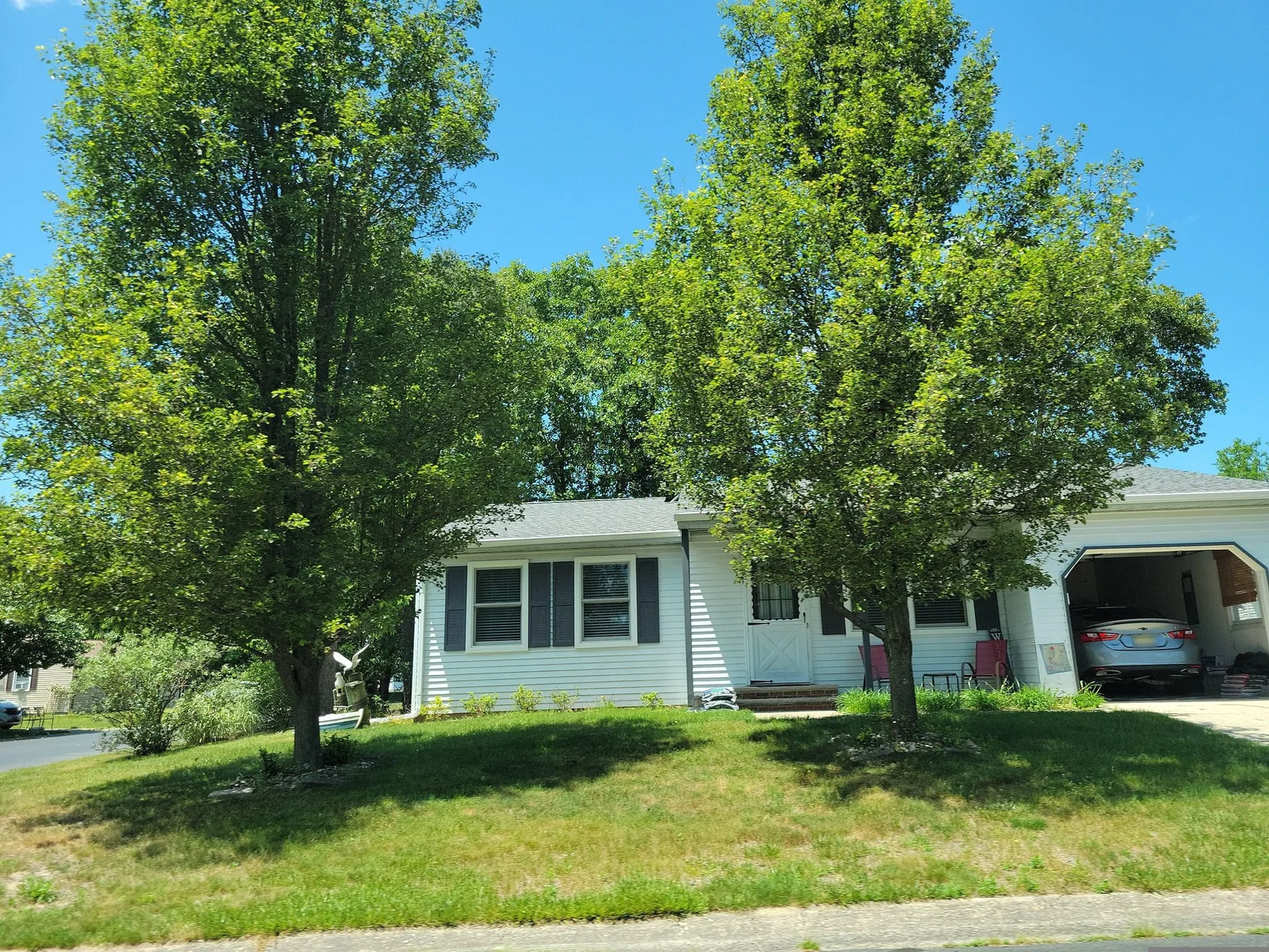 Single-story home with a carport behind two leafy trees