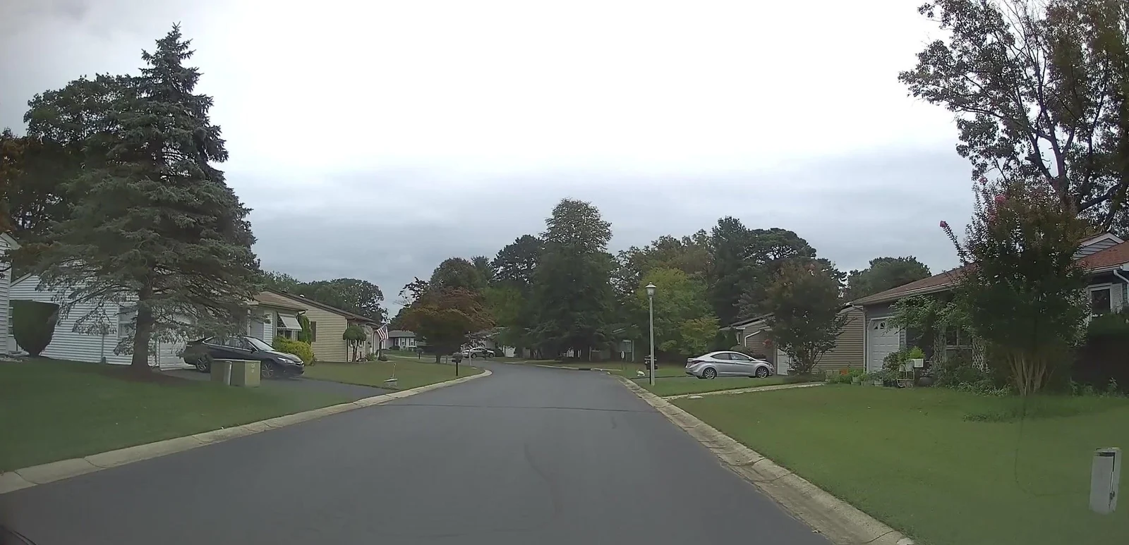 Street with lawns, evergreens and autumn trees