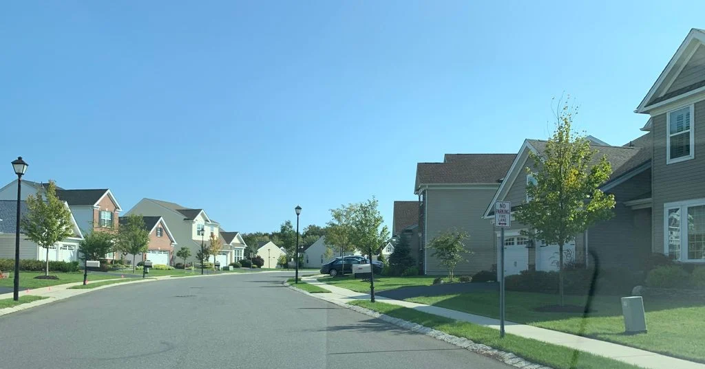 Street lined with single-family homes, young trees and lamp posts