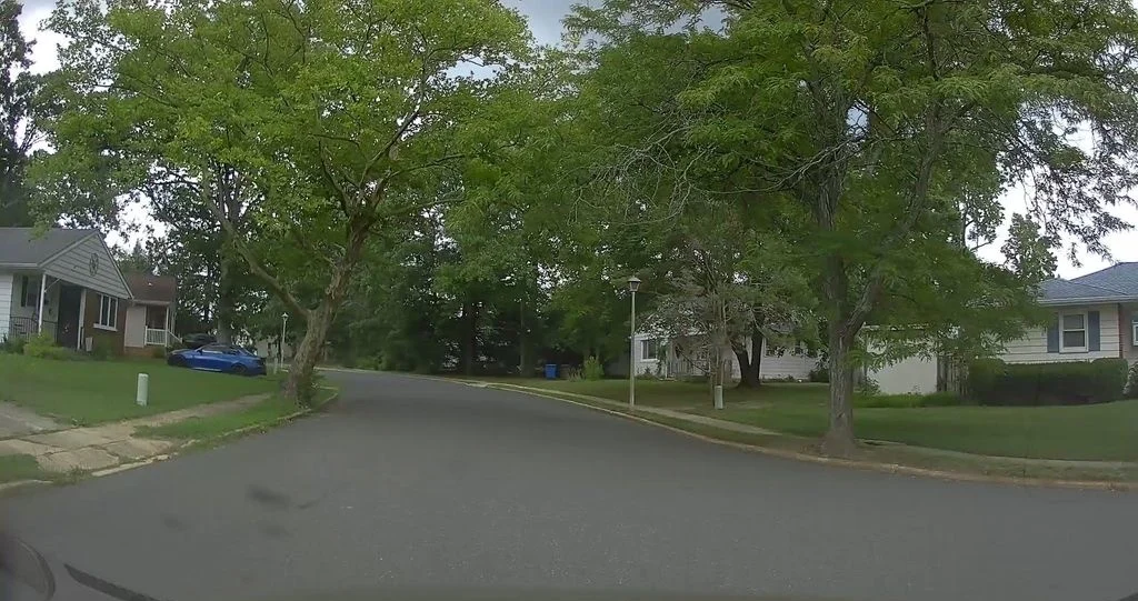 Street lined with large shade trees and single-story homes