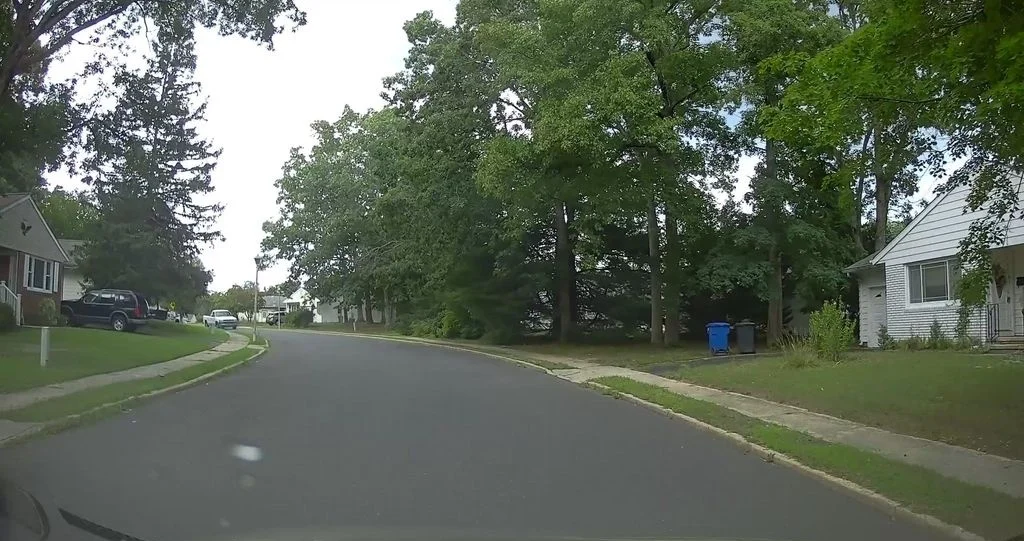 Road bending past homes under tall trees