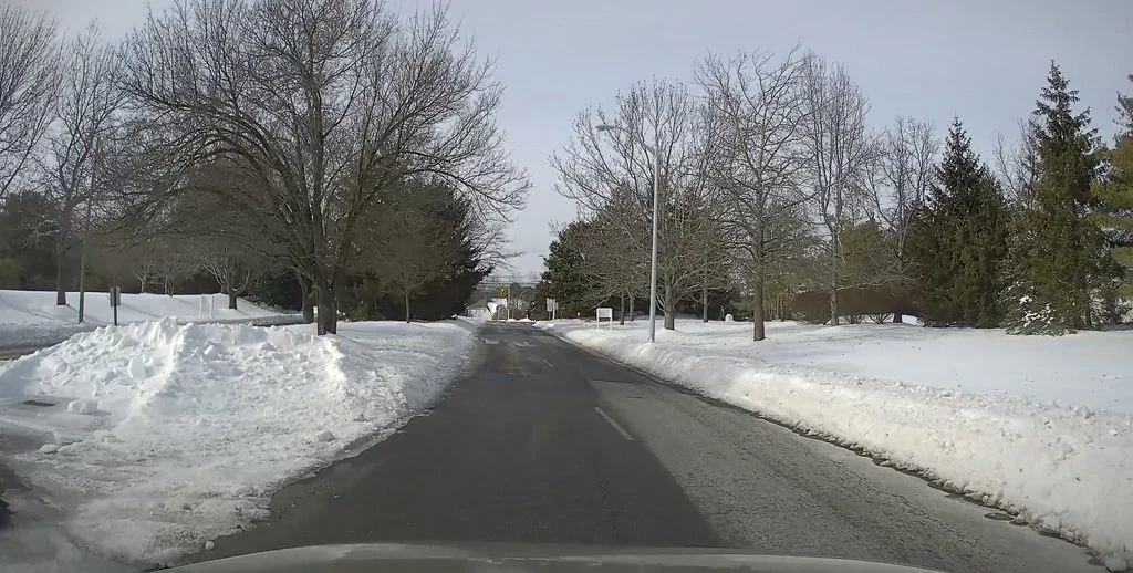 Plowed drive with bare trees and evergreens inside the community