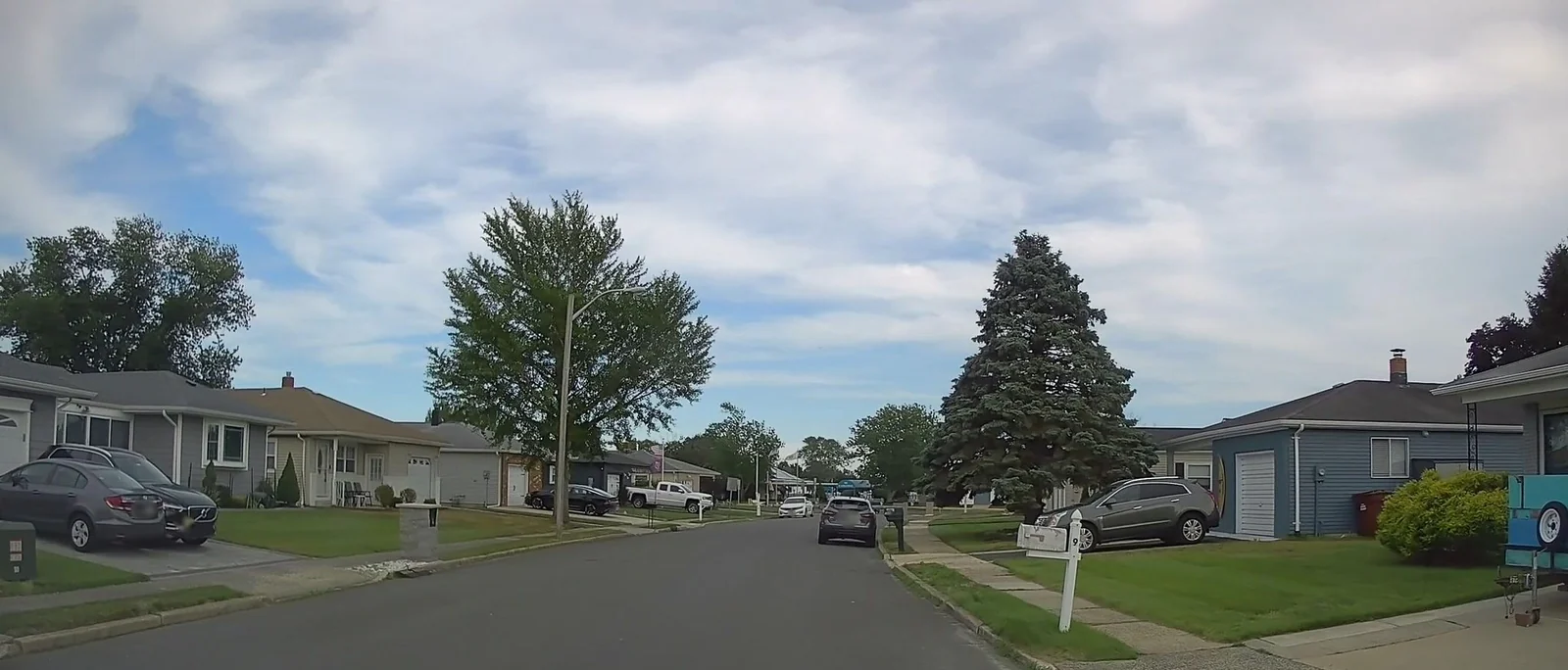 Street of single-story homes with driveways and lawns in early summer