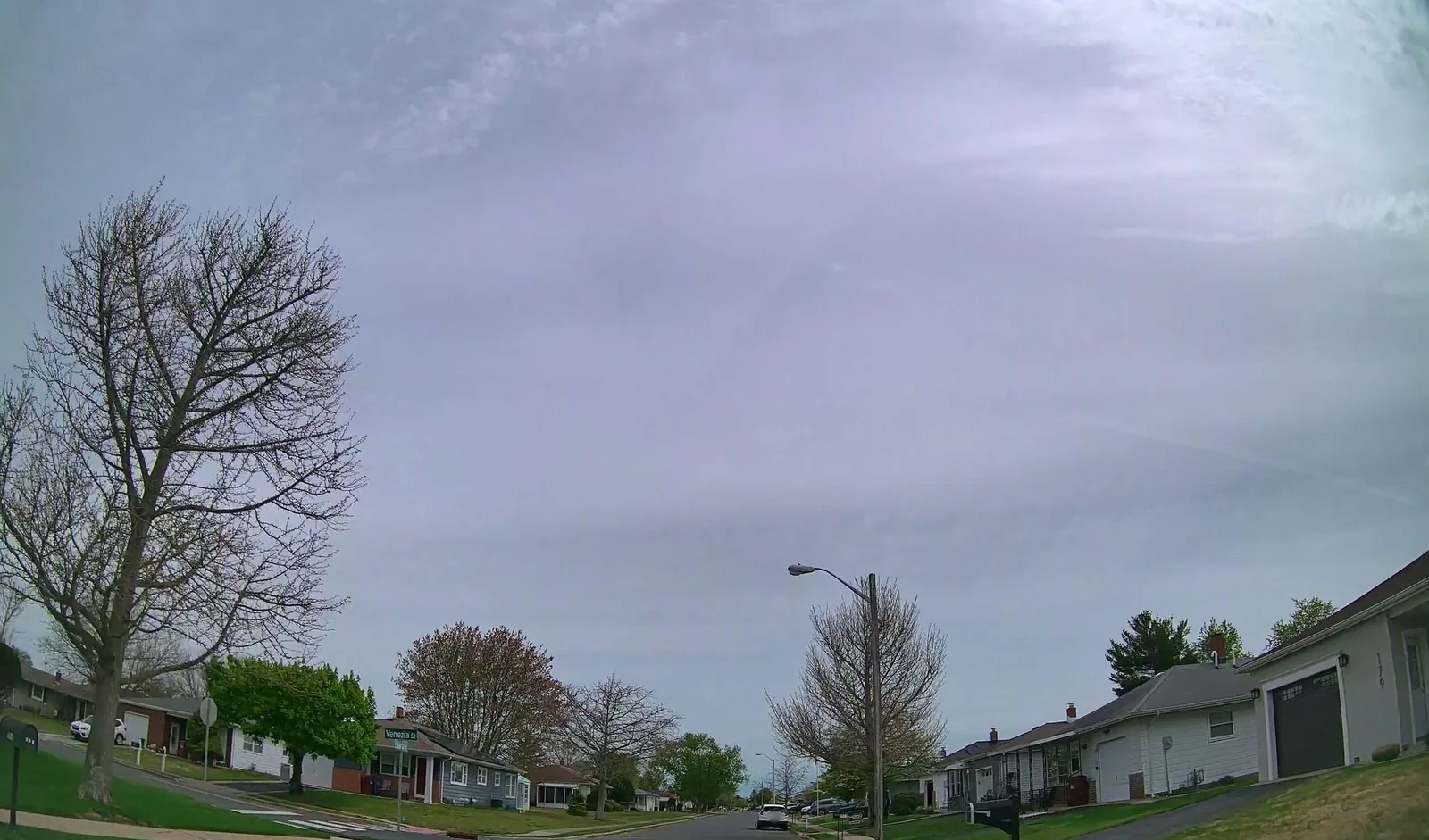 Tree-lined residential street of single-story homes on Liberta Drive