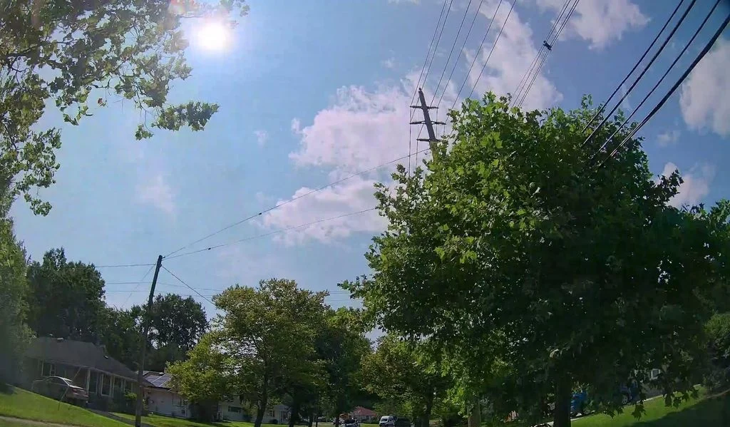 Tree-lined street with ranch homes under a blue sky