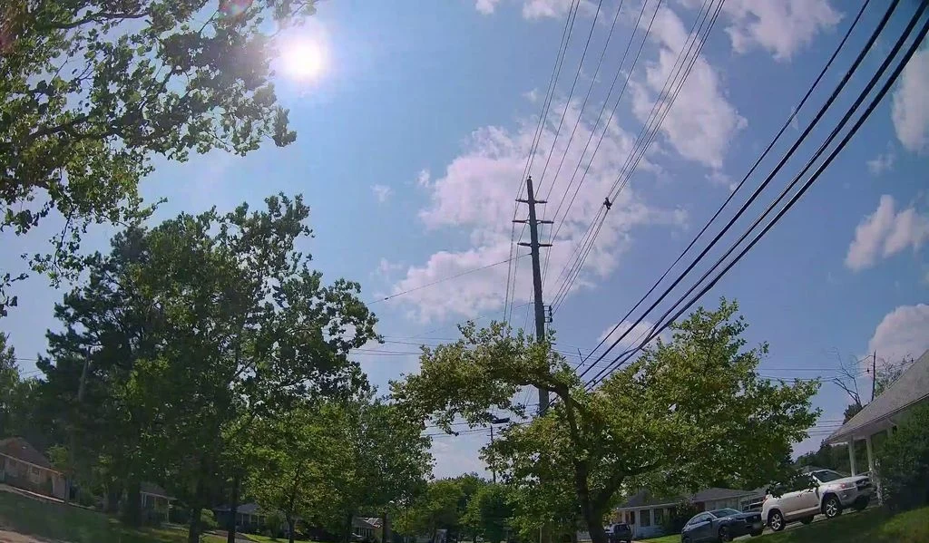 Mature trees and homes along a street in Holiday City Phase 1