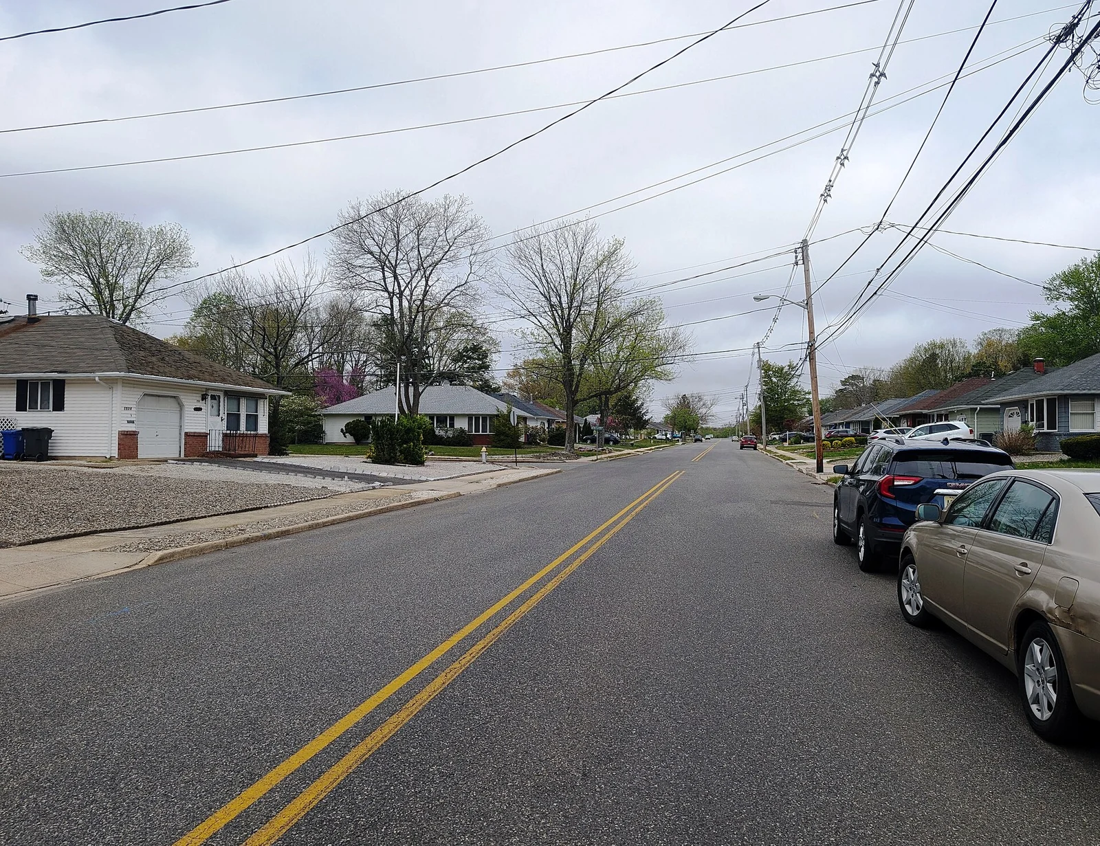Tree-lined Mount Carmel Boulevard with ranch homes in Holiday City