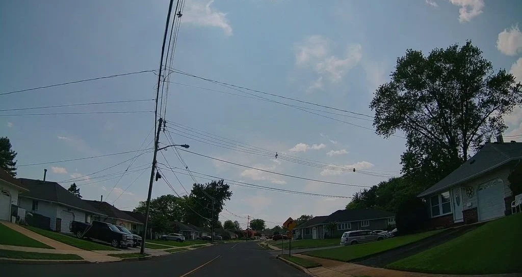 Ranch homes and a leafy tree along a Holiday City street