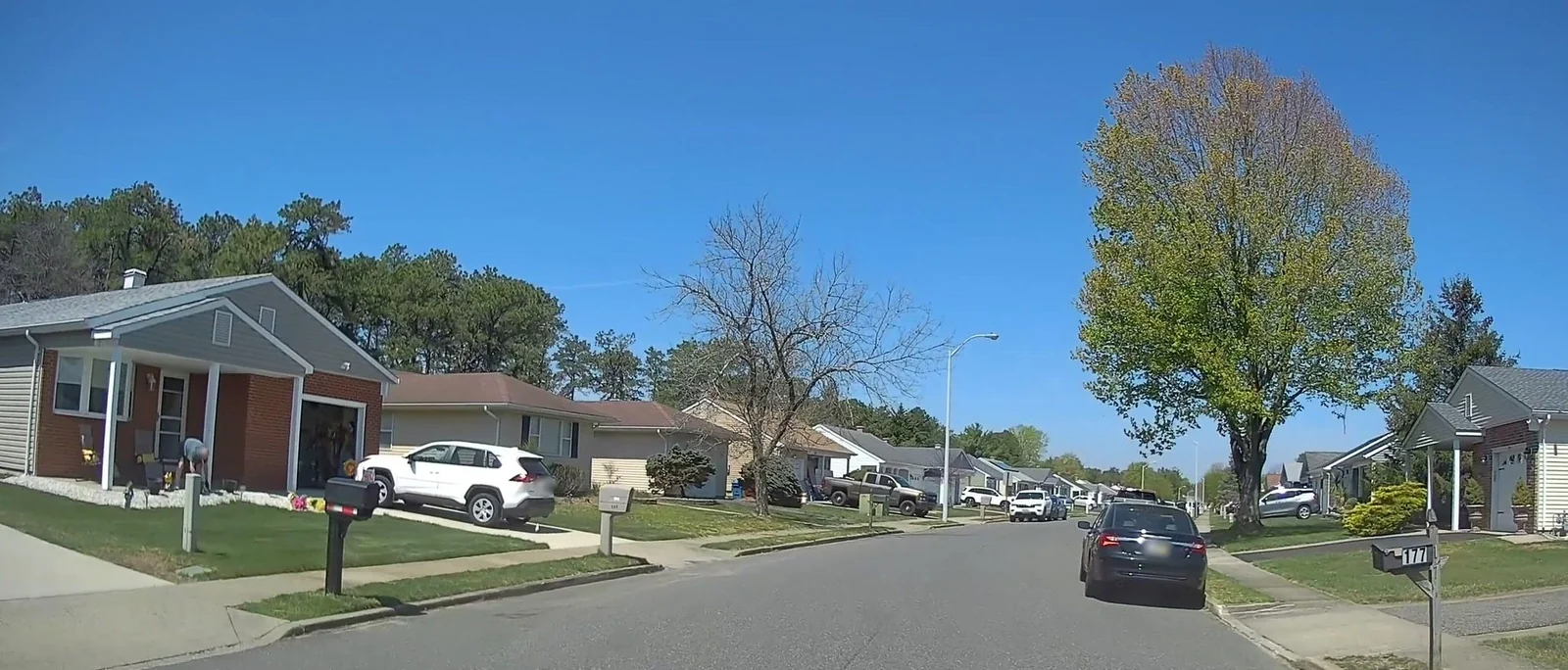 Residential street lined with single-story homes on Pulaski Boulevard