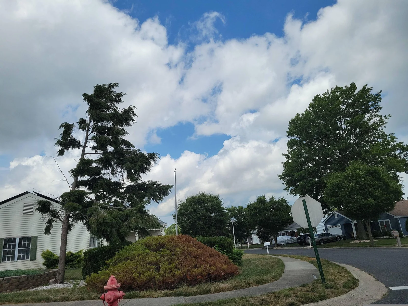 Corner island with red shrubs and trees beside homes
