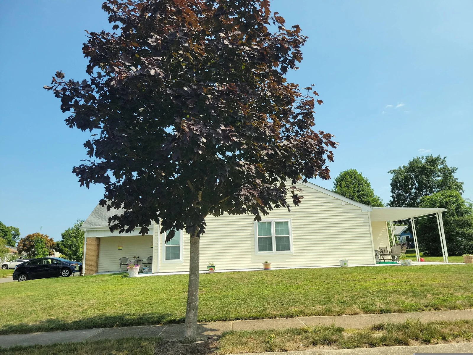 Pale yellow single-story home with a carport and a purple-leaf tree