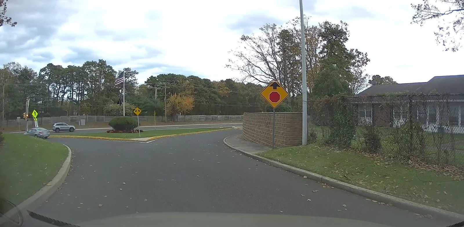 Curving drive past lawns and single-story attached homes