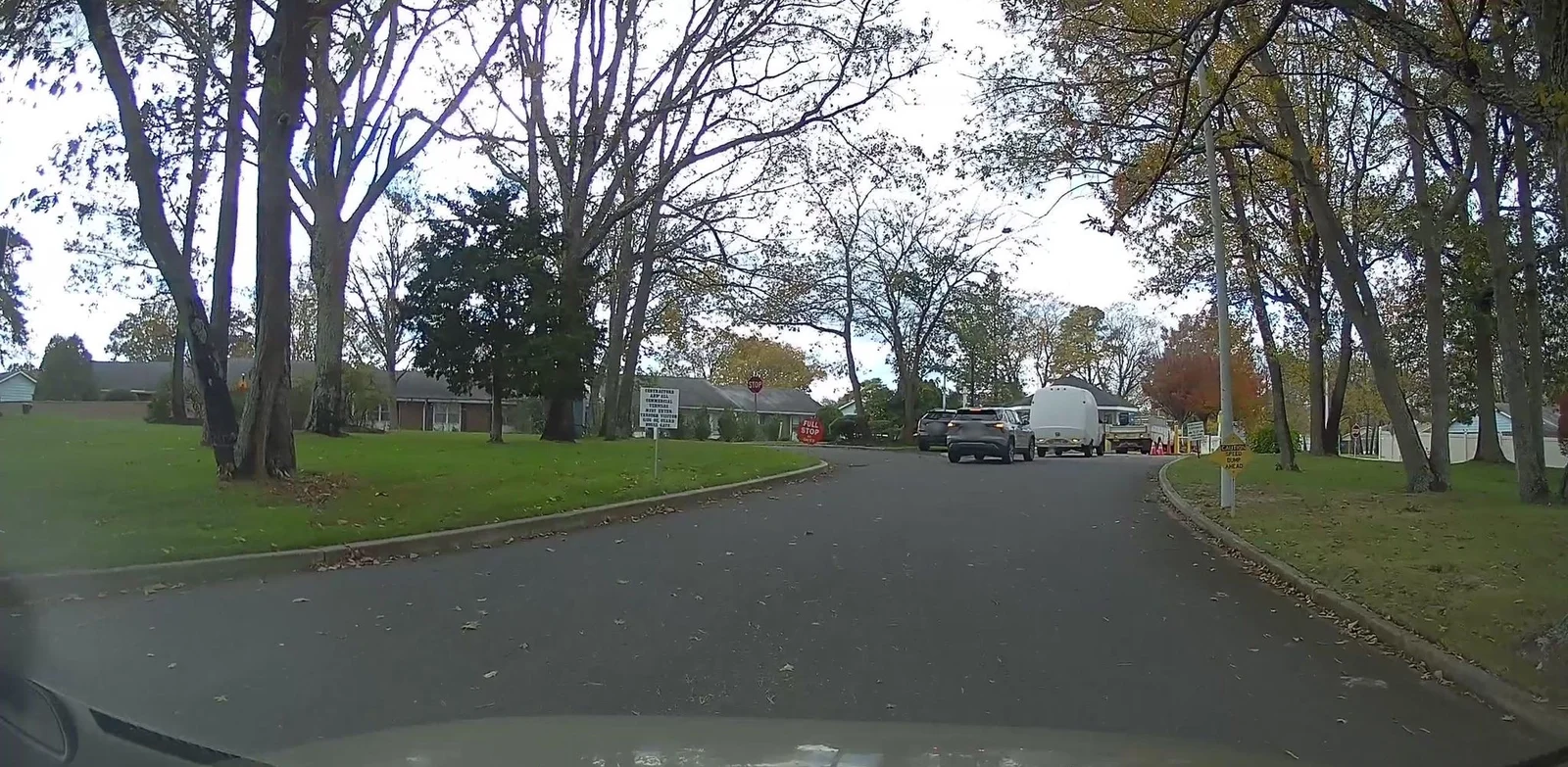 Residential street under mature trees with attached homes set back on lawns
