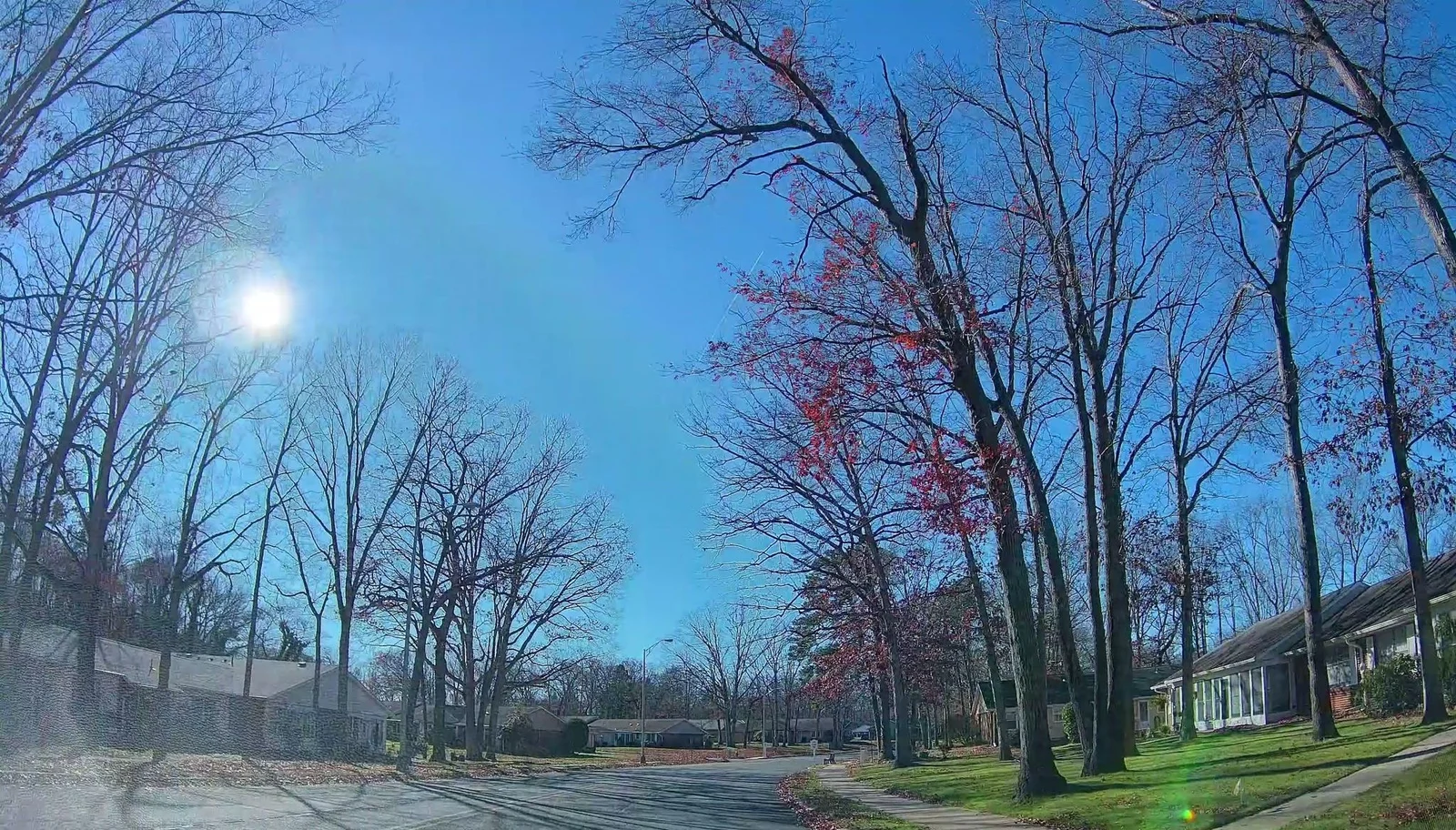 Curving street with lawns and attached homes under tall trees