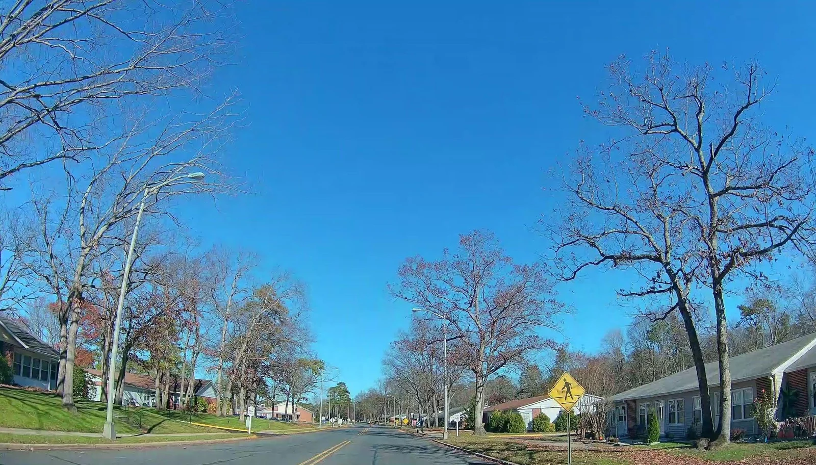 Tree-lined village street with attached homes set back behind lawns