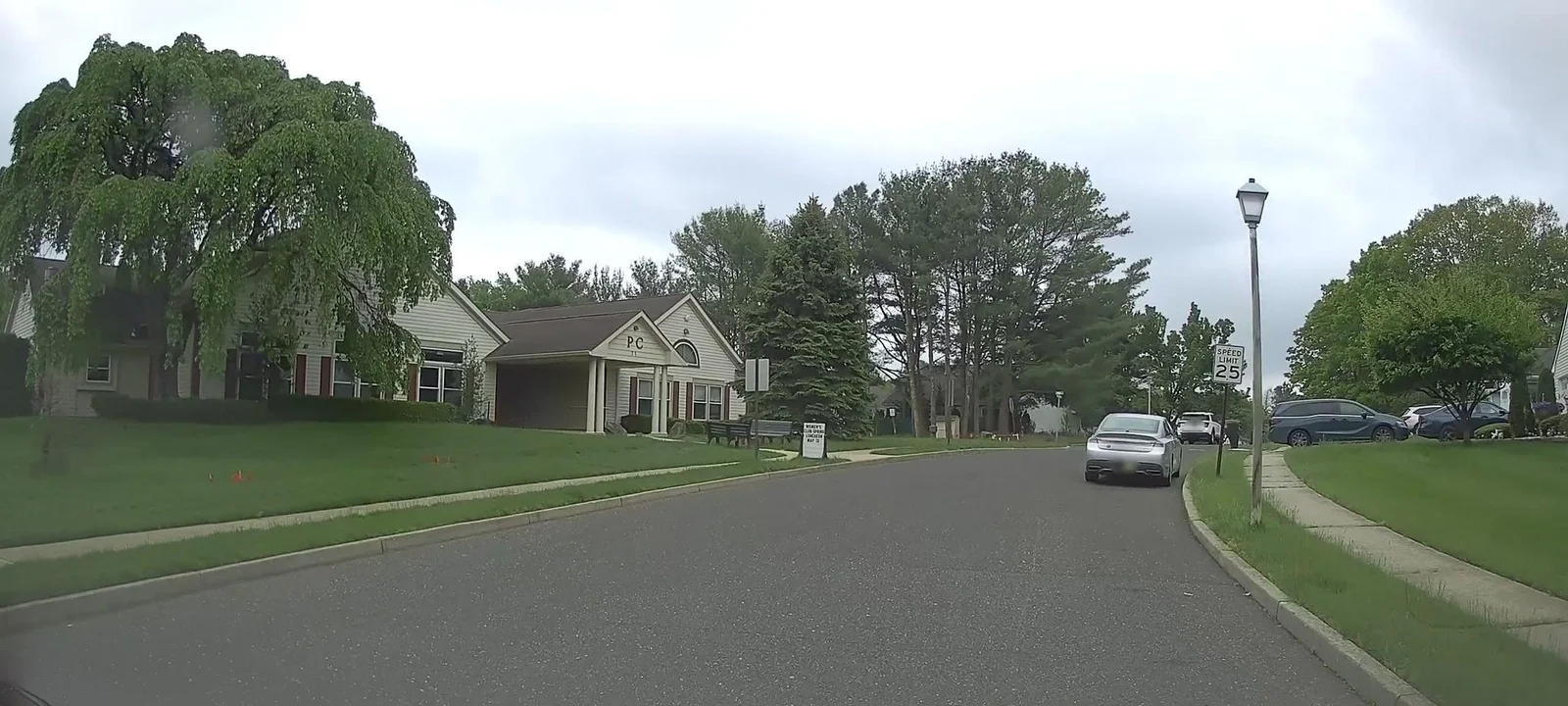 Street with a weeping willow, ranch homes and lampposts