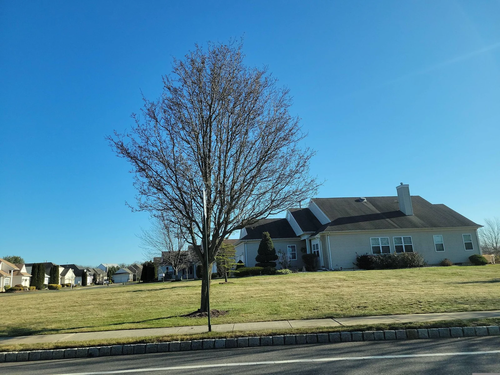 Single-story home behind a broad lawn and a bare tree