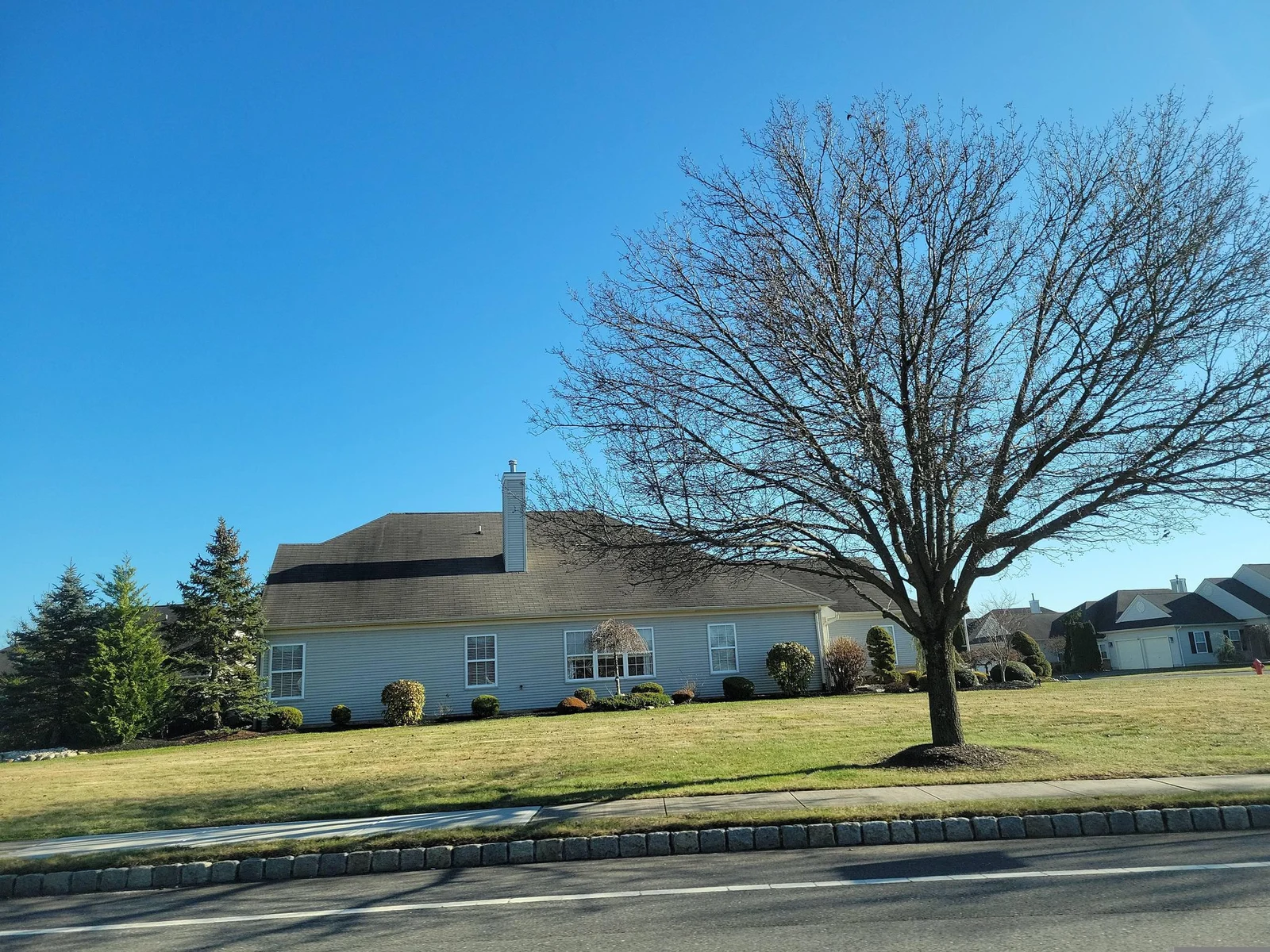 Single-story homes behind a lawn with a large bare tree