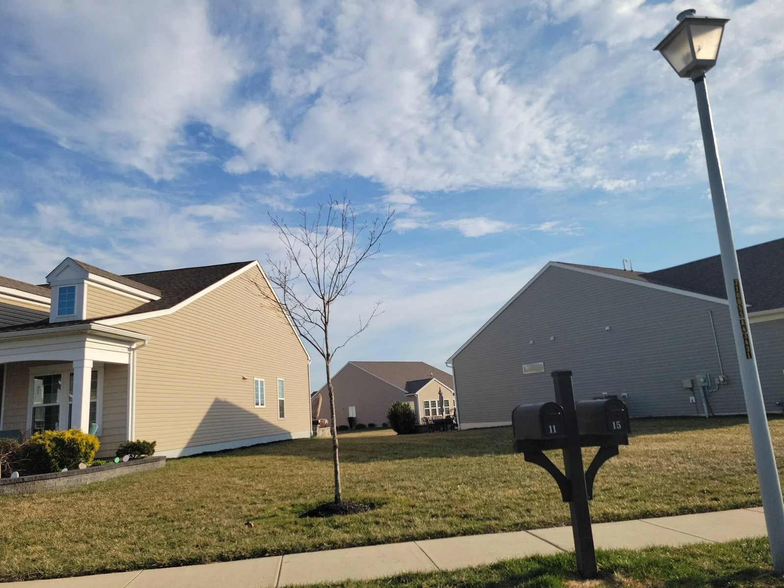 Single-story homes, a lamppost and a mailbox post on a lawn