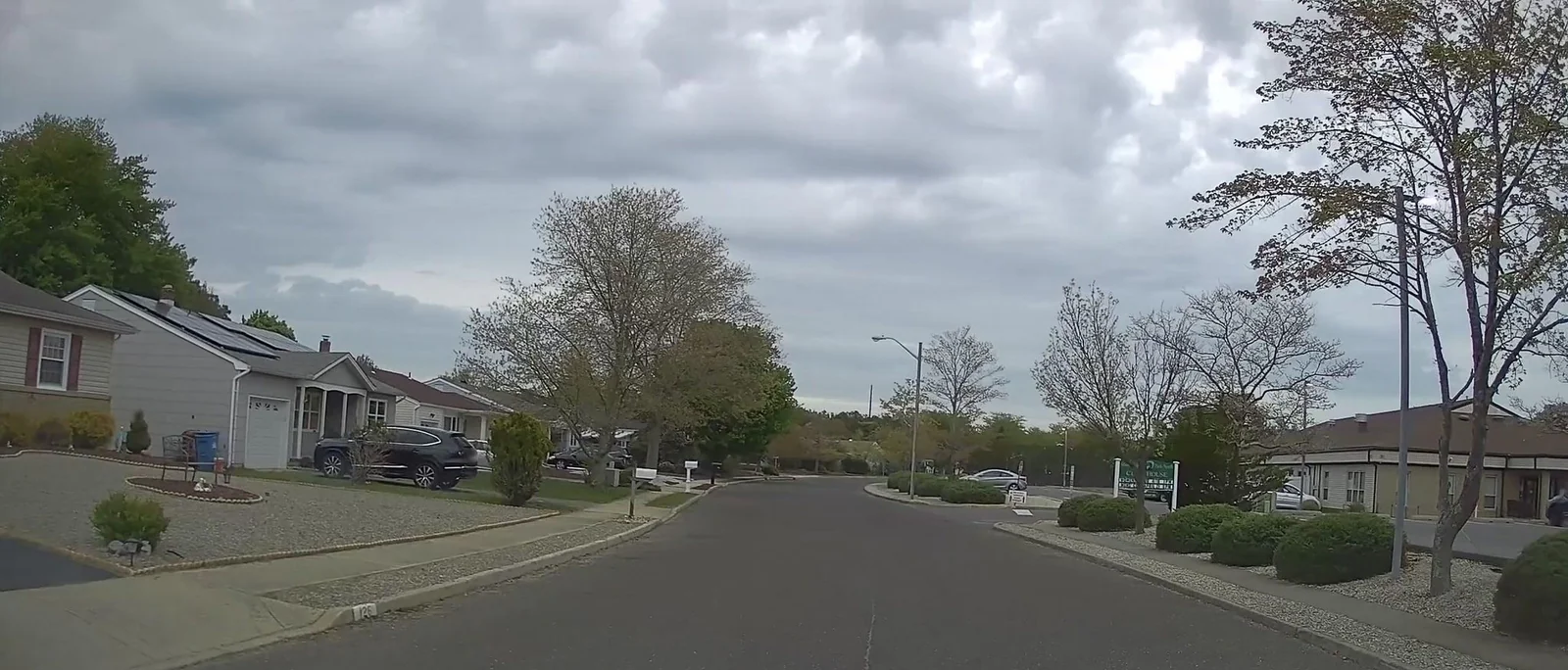 Street of single-story homes with lawns and shrubs