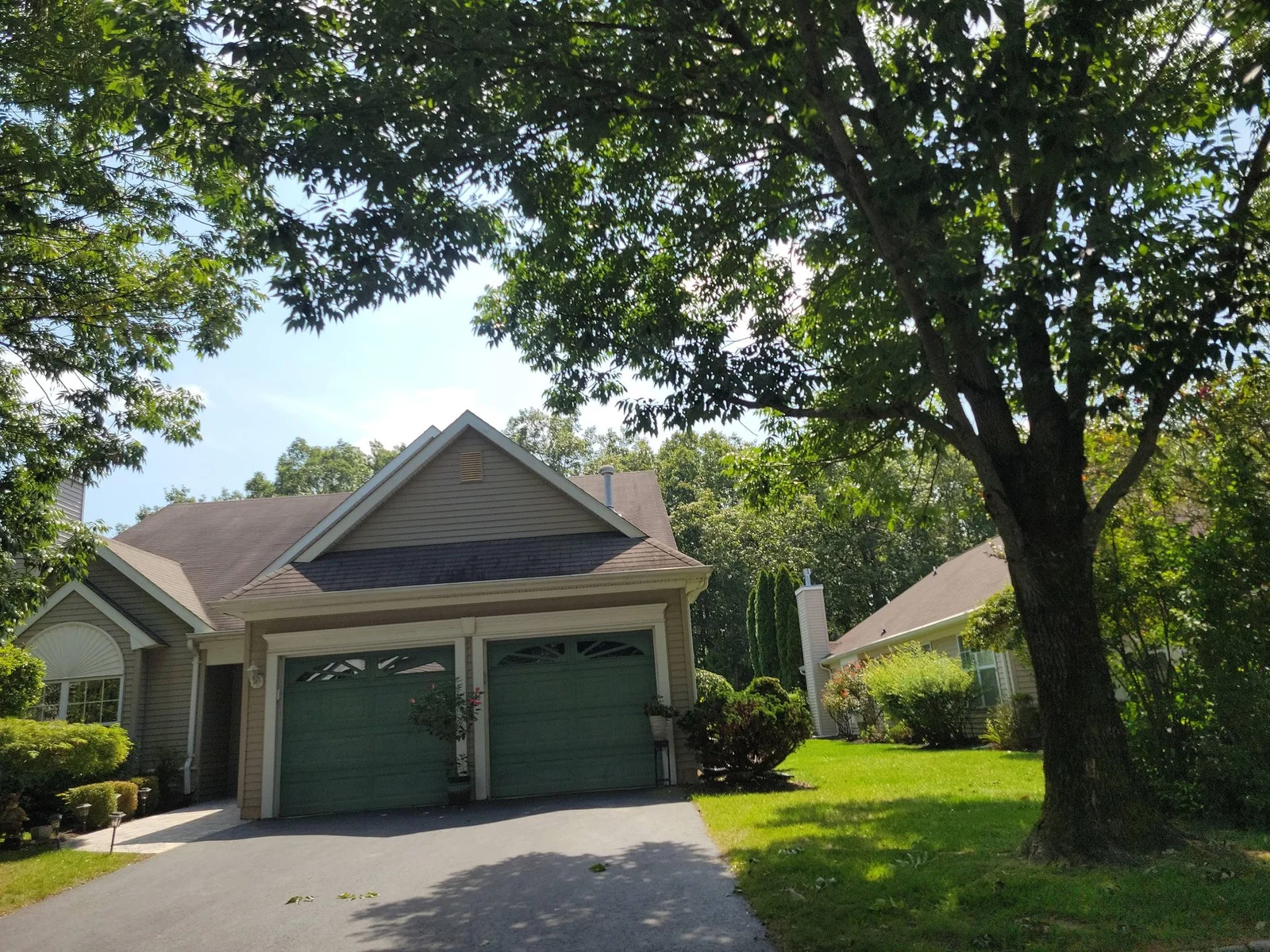 Single-family home with a green two-car garage under a large shade tree