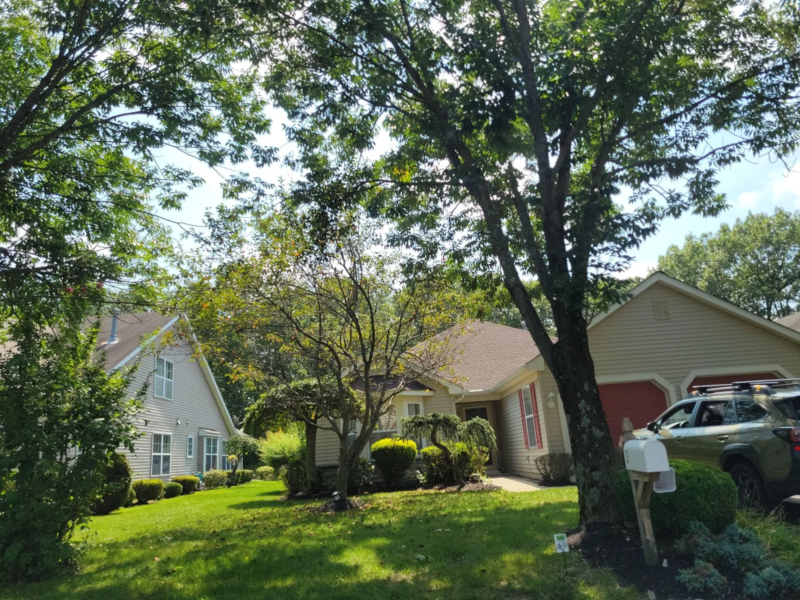 Homes with lawns and shrubs under mature shade trees