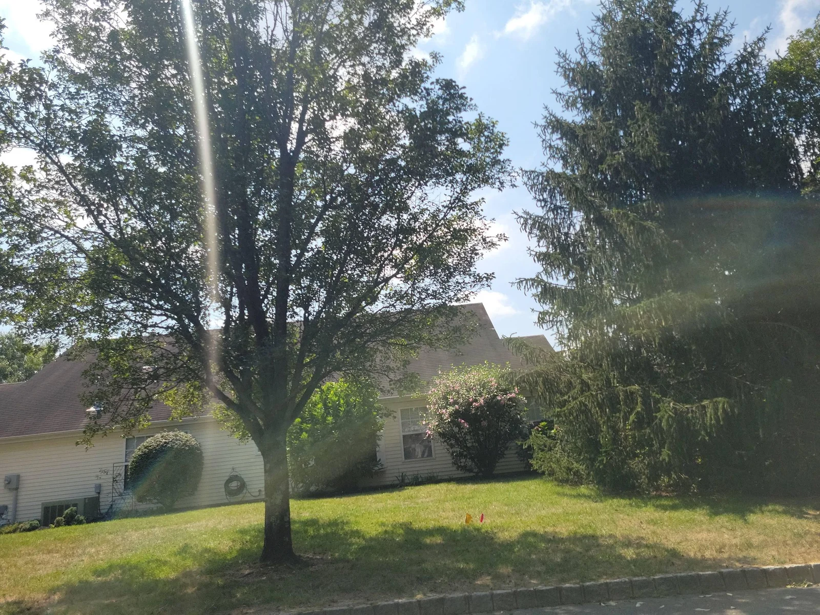 Homes set back behind a lawn and shade tree on Sandhurst Road