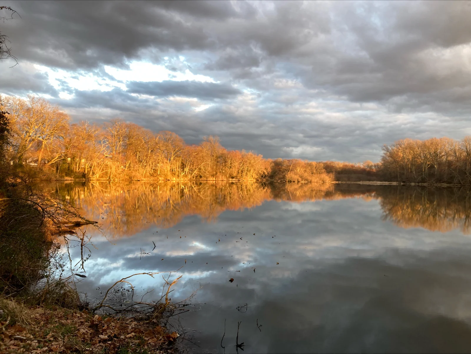 Golden autumn trees reflected in the still millpond at Dr. Farmer's Park under a cloudy sky