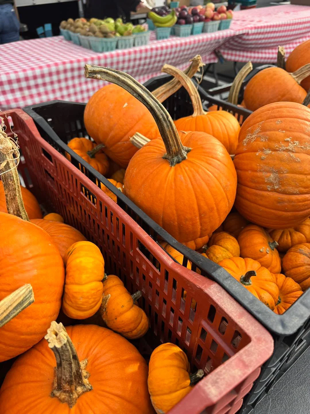 Crates of orange pumpkins in front of a farm stand table with a red checked cloth and baskets of fruit at the Barnegat Farmers Market