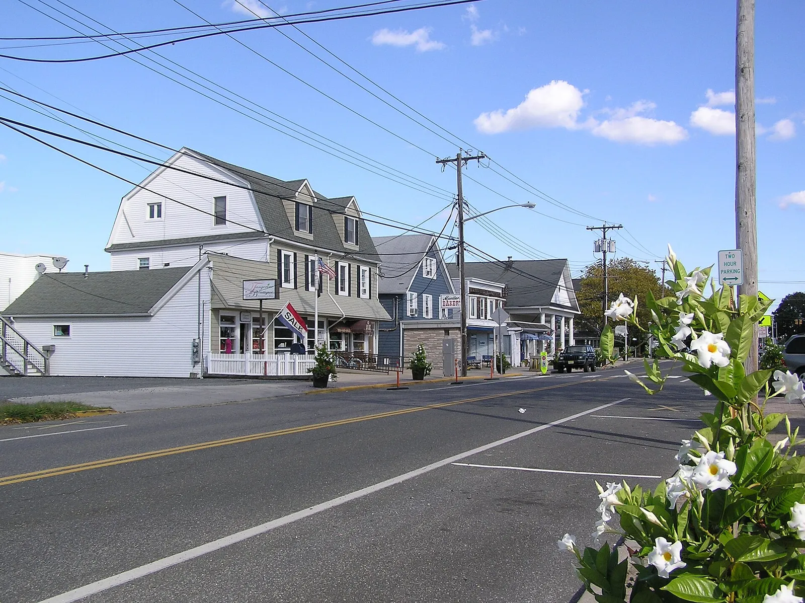 A street of shingled and clapboard shop buildings with white flowers in the foreground