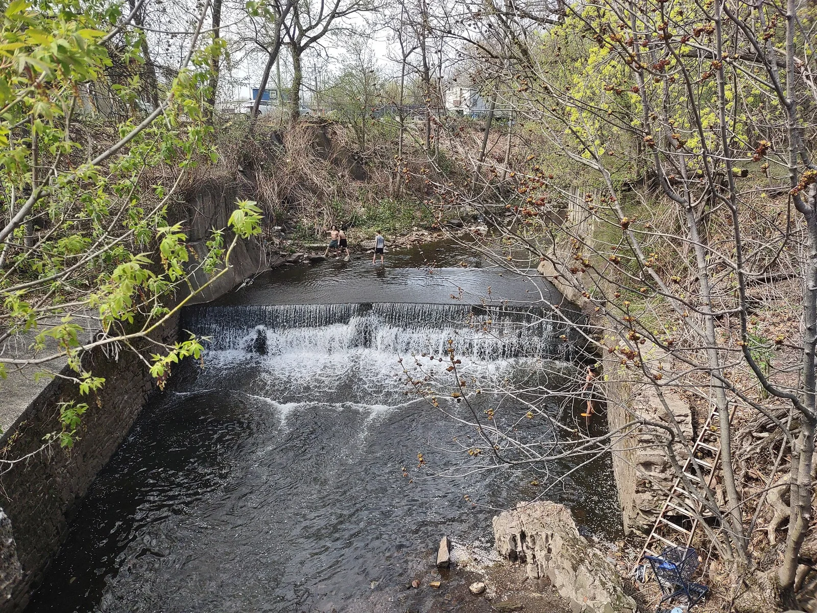 Water spilling over a small dam on the Second River at Hendricks Pond, framed by spring trees