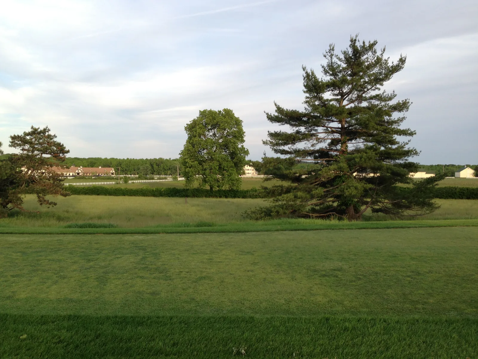 Open fairway and tall pines at the eighth tee of Hominy Hill Golf Course