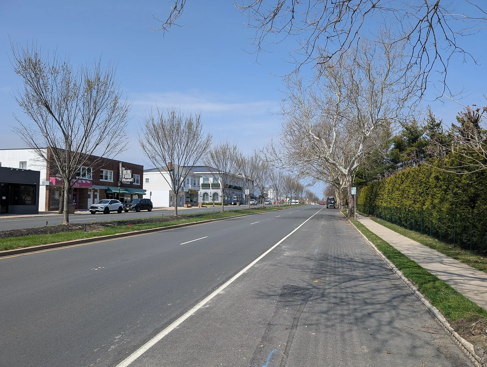 Shops and trees along Norwood Avenue in the small Deal business district on a spring day