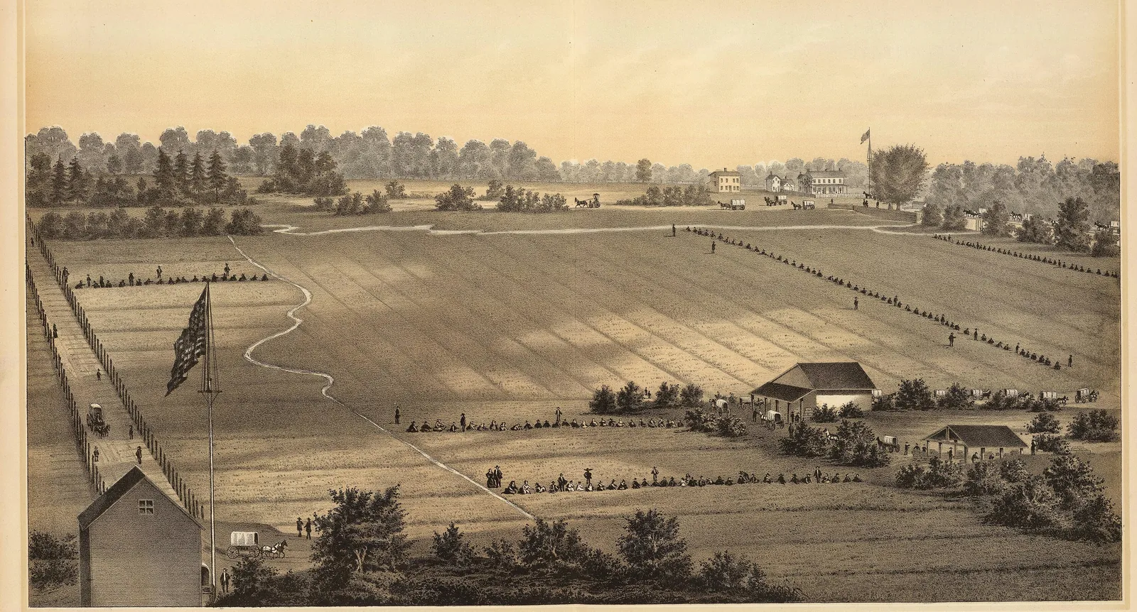 1882 engraving of the Stafford Forge cranberry plantation, with long flat bogs, a flag and farm buildings