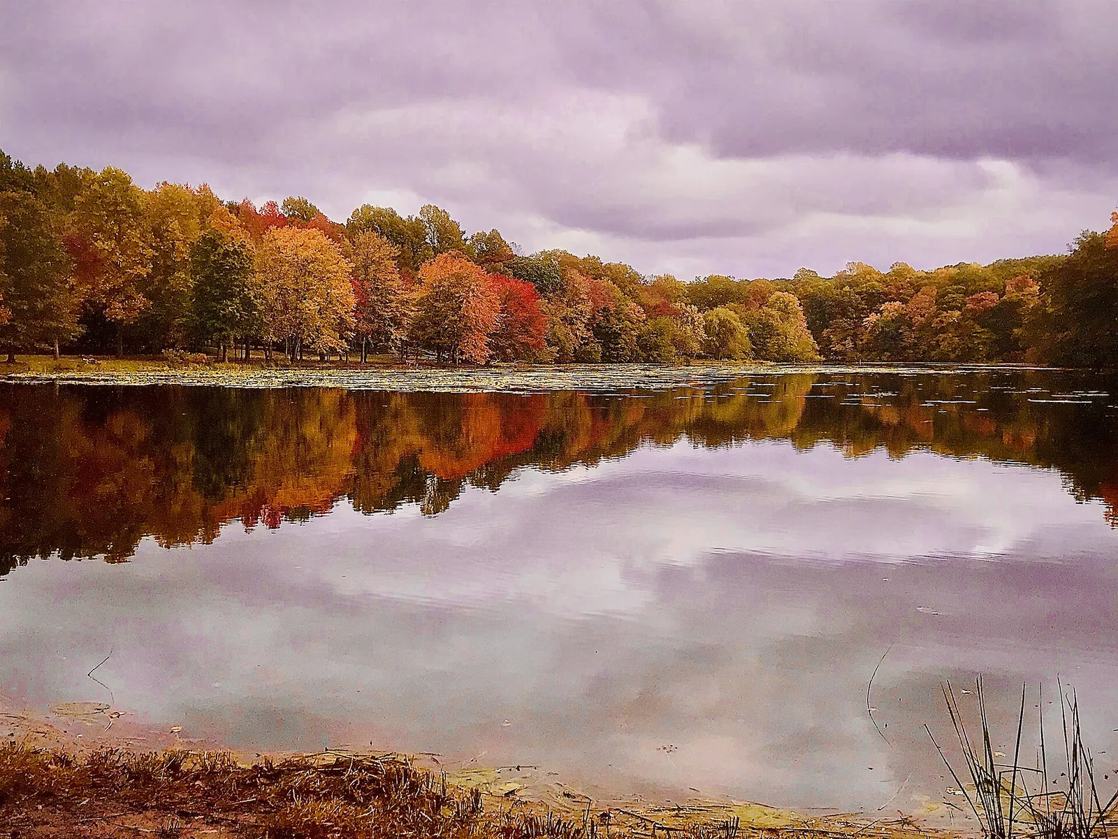 Lake Topanemus reflecting fall foliage and a cloudy sky