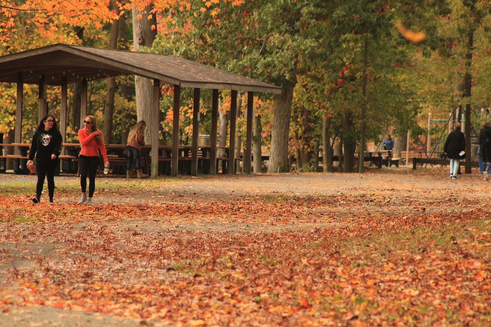 Visitors walking across a carpet of orange leaves beside a wooden picnic pavilion at Lake Topanemus Park