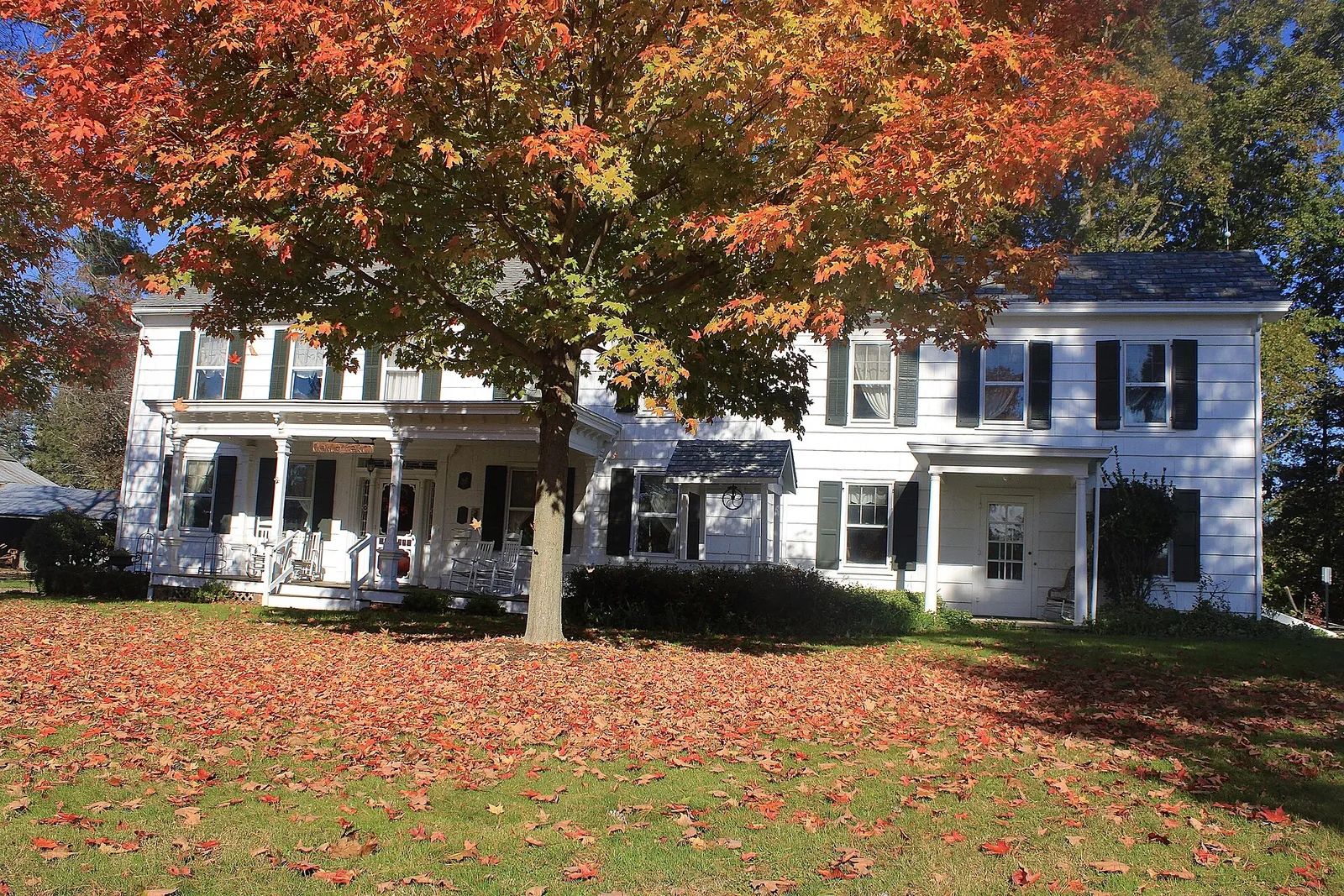 The white Oakley farmhouse with a long front porch behind a maple in full orange fall color