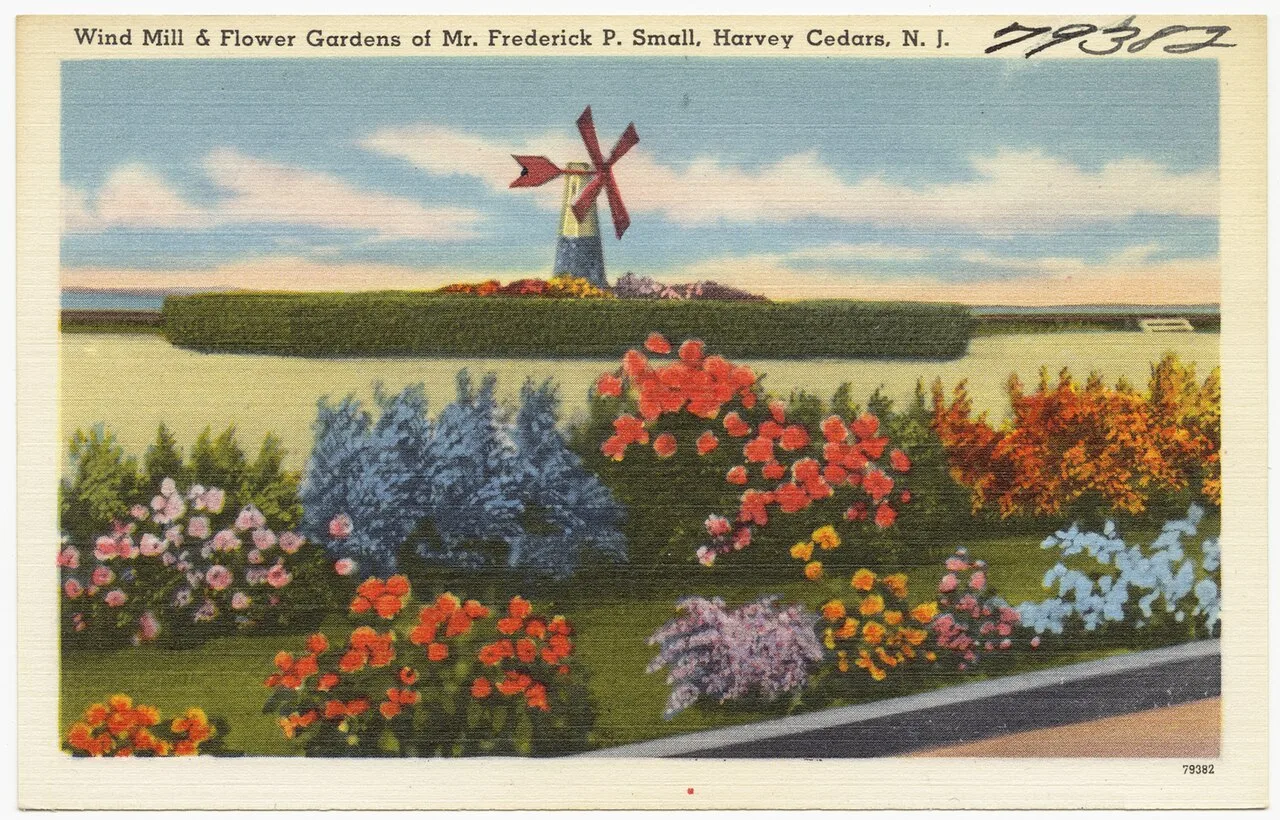 Vintage postcard of a windmill and flower gardens on the Frederick P. Small estate in Harvey Cedars