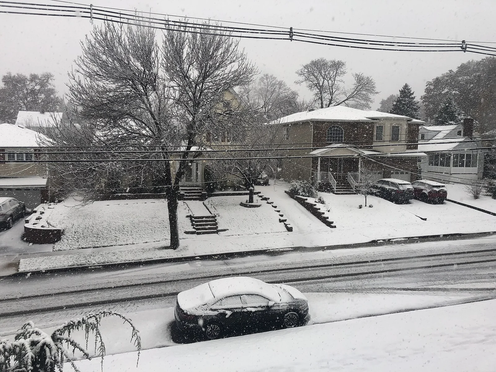 Snow covering the lawns, trees and parked cars along a residential street of two-story homes