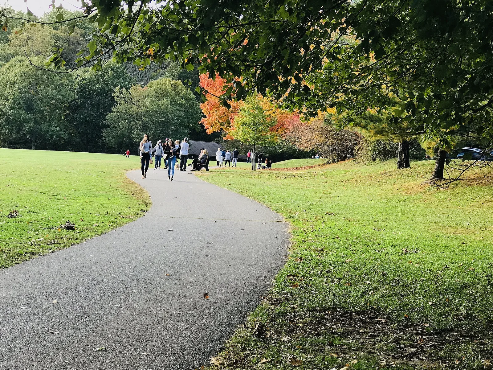 A paved walking path curving through the lawns and autumn trees of Holmdel Park