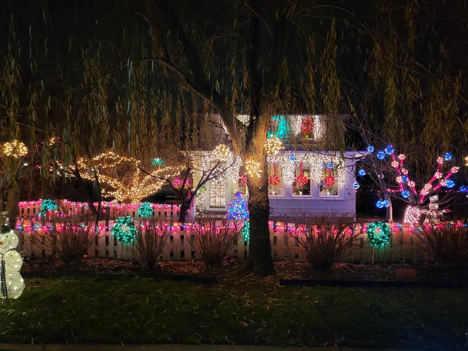 A cottage and picket fence covered in colorful holiday lights, with lit trees and a snowman figure