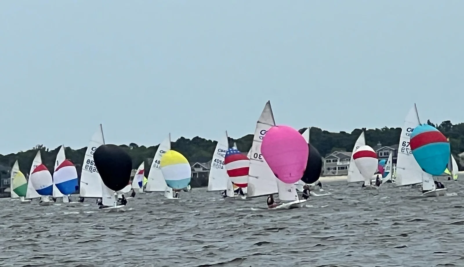 A fleet of small sailboats with colorful spinnakers racing on the Toms River