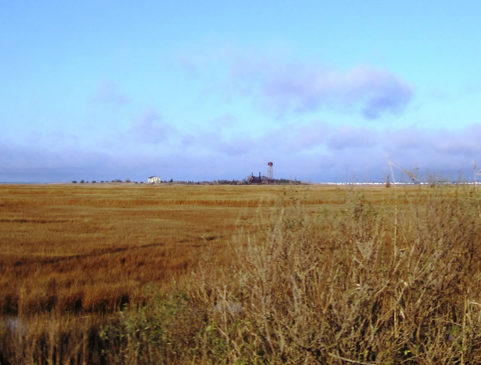 Salt marsh along Great Bay Boulevard in Little Egg Harbor Township, looking northwest toward the old fish factory on Crab Island