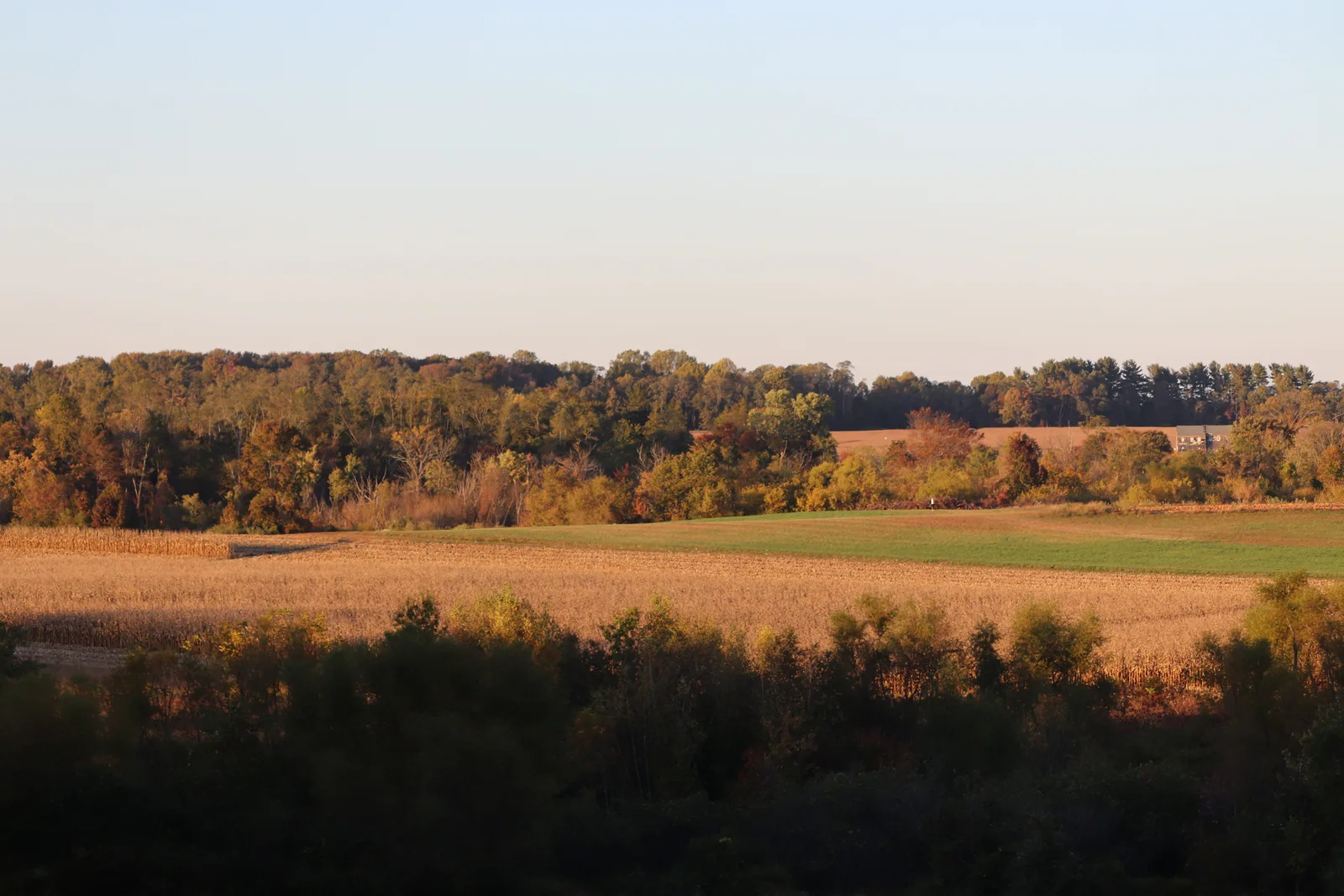 Fall view across fields and tree lines at Monmouth Battlefield State Park from Combs Hill