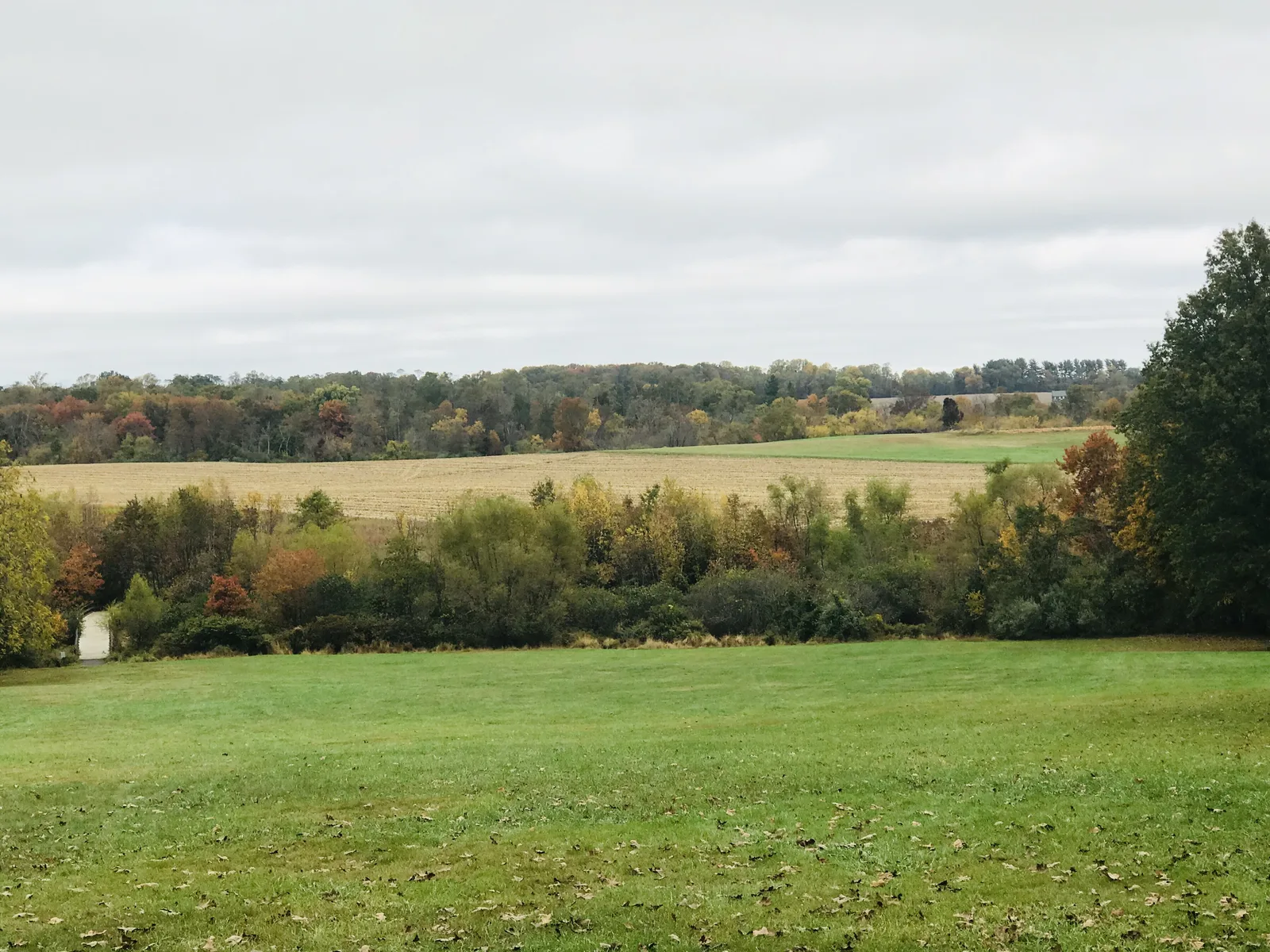 Open lawn and farm fields rolling toward a line of trees in Manalapan