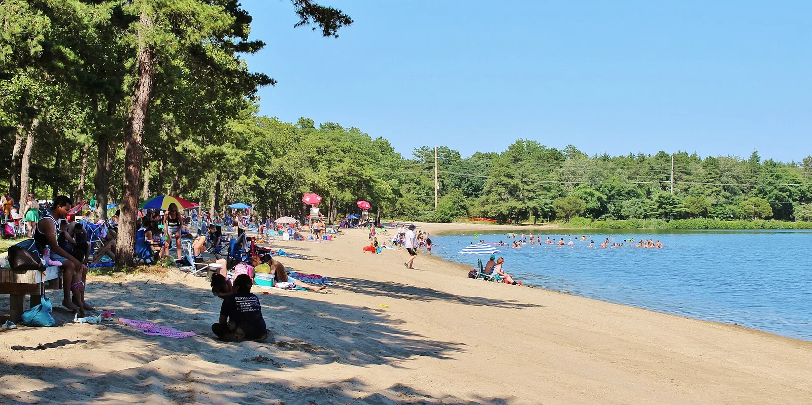 The sandy beach at Harry Wright Lake in Manchester Township, with swimmers and pine woods around the water