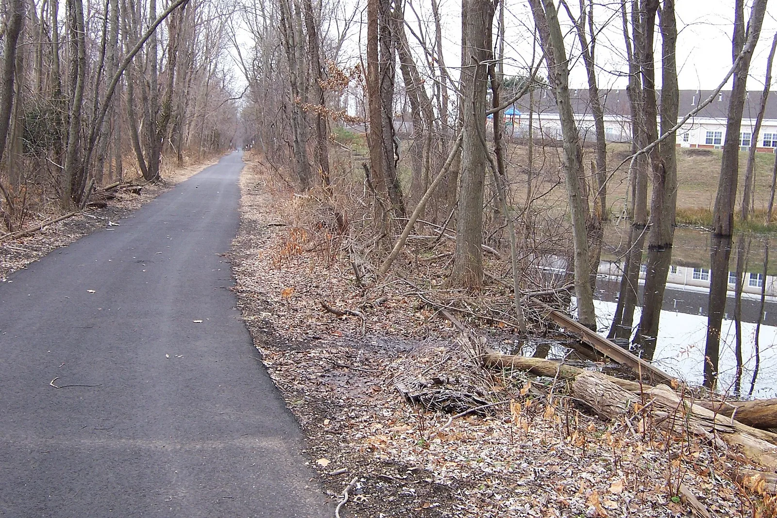 The paved Henry Hudson Trail running through the woods in Marlboro
